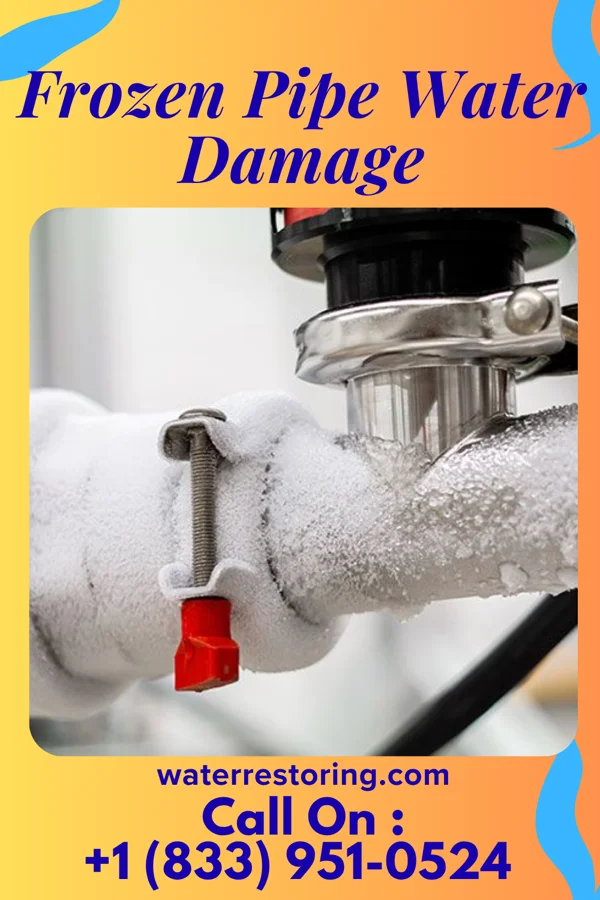 Frozen Pipe Water Damage in Welaka, FL
